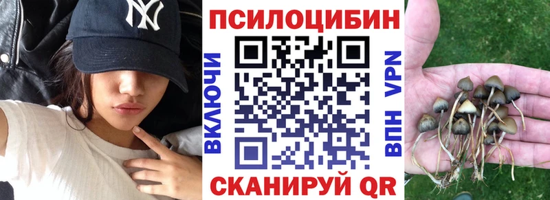 Галлюциногенные грибы мухоморы Махачкала