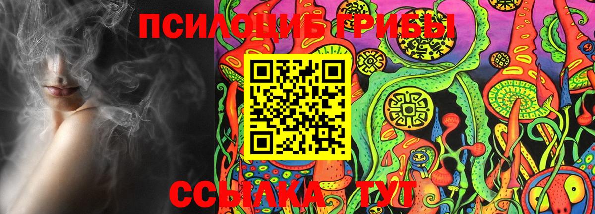 Псилоцибиновые грибы Magic Shrooms  Вход с VPN  Махачкала 