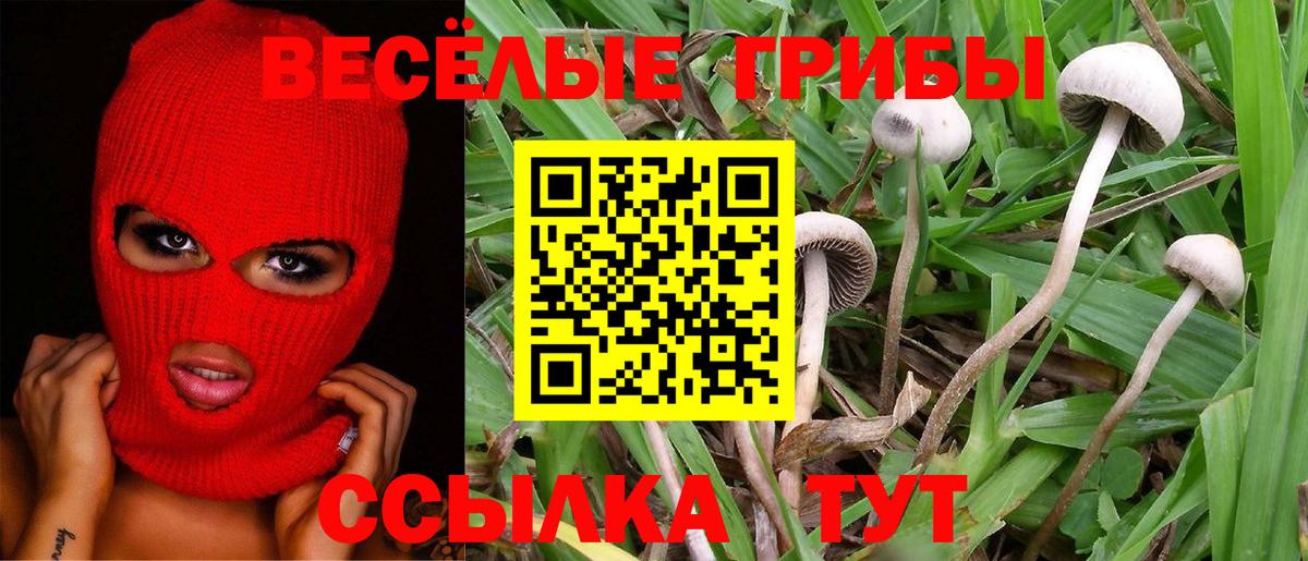 Псилоцибиновые грибы ЛСД Махачкала
